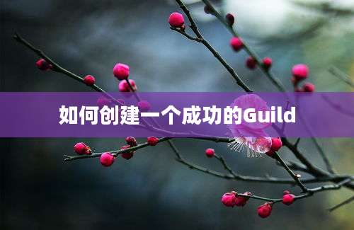 如何创建一个成功的Guild