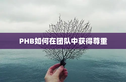 PHB如何在团队中获得尊重