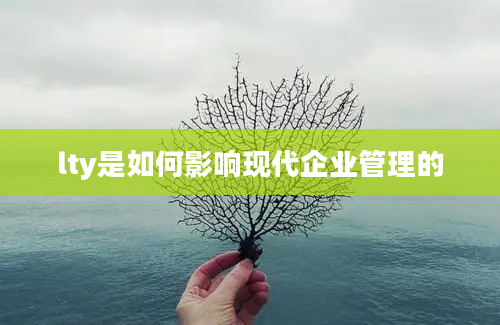 lty是如何影响现代企业管理的