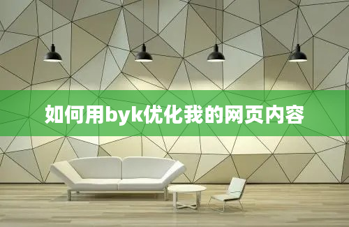 如何用byk优化我的网页内容