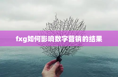 fxg如何影响数字营销的结果