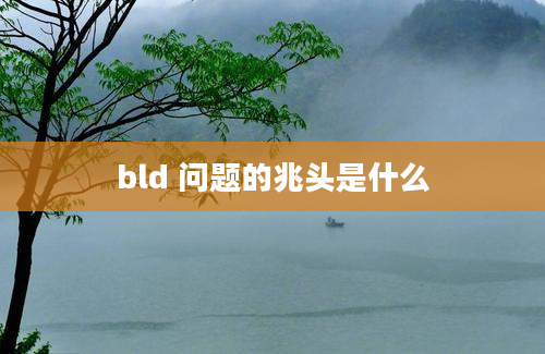 bld 问题的兆头是什么