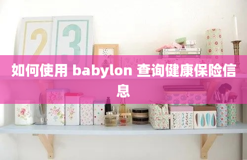 如何使用 babylon 查询健康保险信息