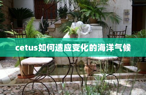 cetus如何适应变化的海洋气候