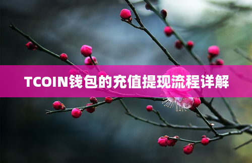 TCOIN钱包的充值提现流程详解