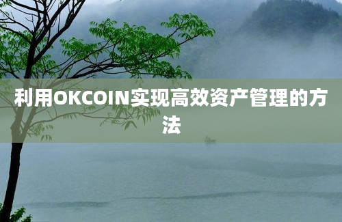 利用OKCOIN实现高效资产管理的方法