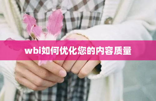 wbi如何优化您的内容质量