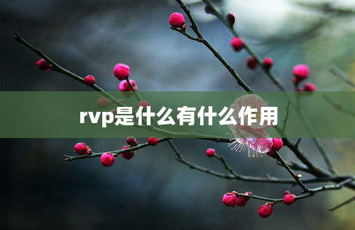 rvp是什么有什么作用