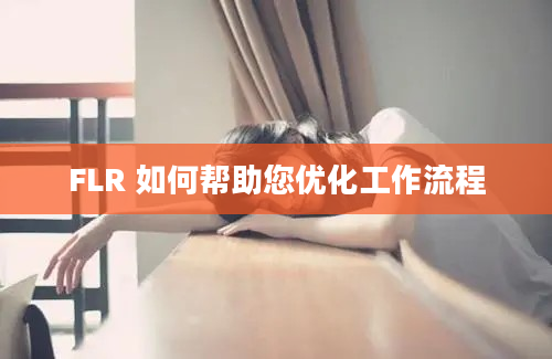 FLR 如何帮助您优化工作流程