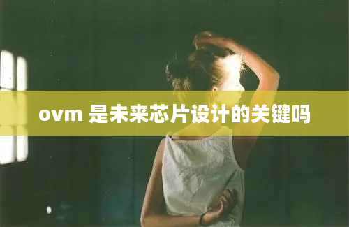 ovm 是未来芯片设计的关键吗