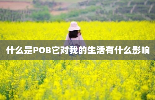 什么是POB它对我的生活有什么影响