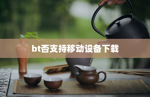 bt否支持移动设备下载