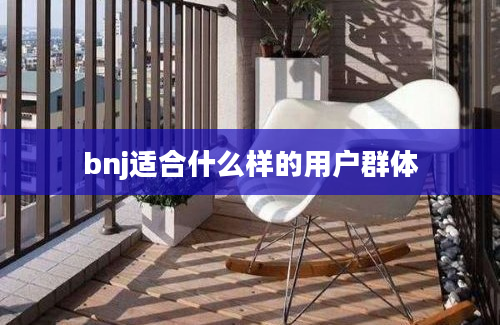 bnj适合什么样的用户群体