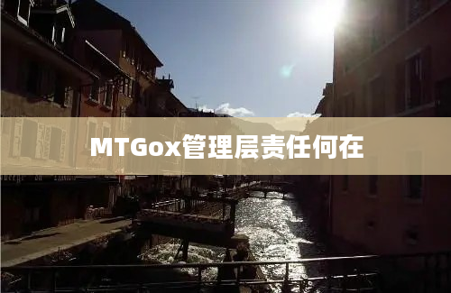 MTGox管理层责任何在