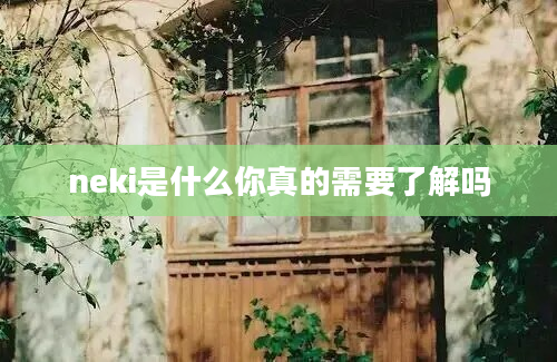 neki是什么你真的需要了解吗