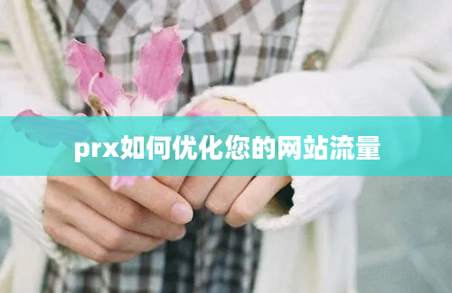 prx如何优化您的网站流量