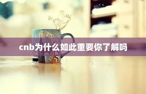 cnb为什么如此重要你了解吗