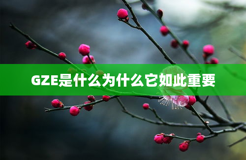 GZE是什么为什么它如此重要