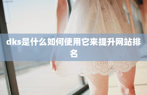 dks是什么如何使用它来提升网站排名