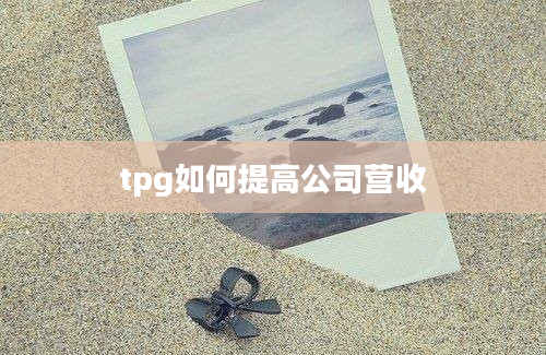 tpg如何提高公司营收