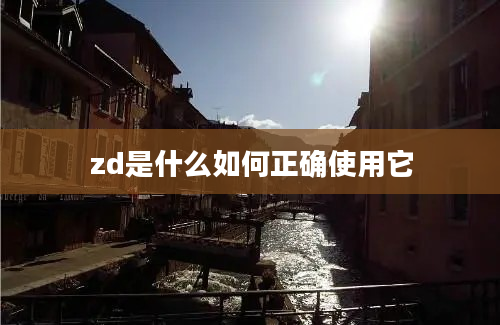 zd是什么如何正确使用它