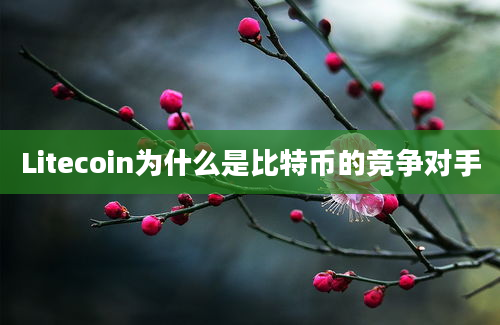 Litecoin为什么是比特币的竞争对手