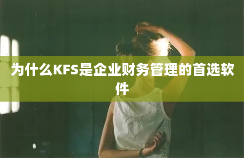 为什么KFS是企业财务管理的首选软件