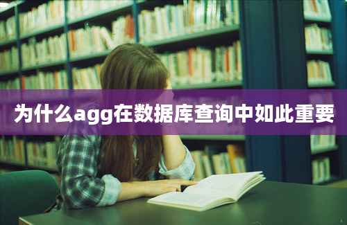 为什么agg在数据库查询中如此重要