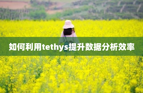 如何利用tethys提升数据分析效率