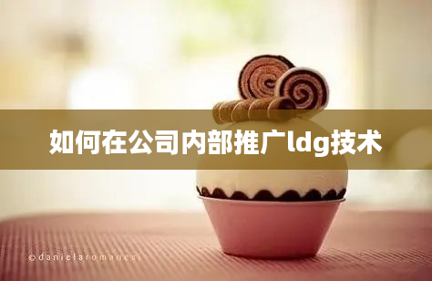 如何在公司内部推广ldg技术