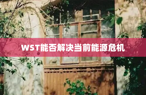 WST能否解决当前能源危机