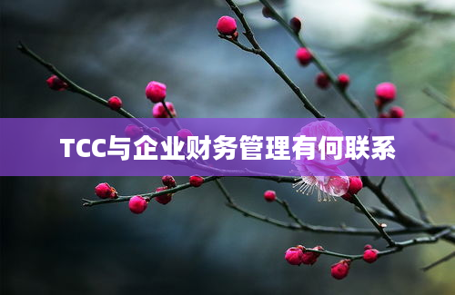 TCC与企业财务管理有何联系