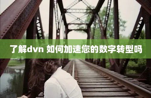 了解dvn 如何加速您的数字转型吗