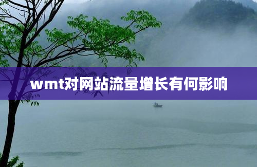 wmt对网站流量增长有何影响