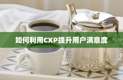 如何利用CXP提升用户满意度