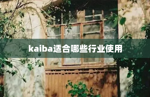 kaiba适合哪些行业使用