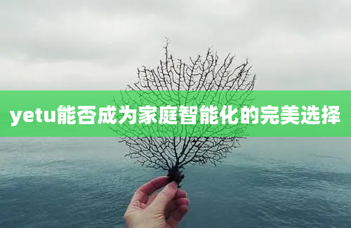 yetu能否成为家庭智能化的完美选择