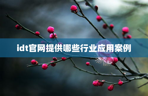 idt官网提供哪些行业应用案例