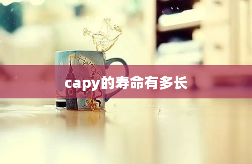 capy的寿命有多长