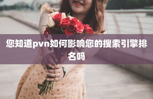 您知道pvn如何影响您的搜索引擎排名吗