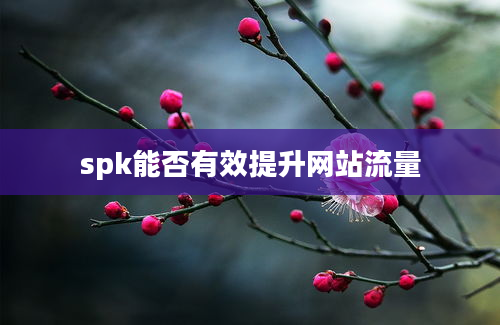 spk能否有效提升网站流量