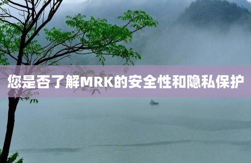 您是否了解MRK的安全性和隐私保护