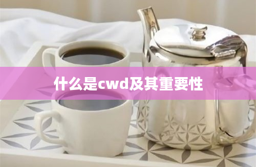 什么是cwd及其重要性