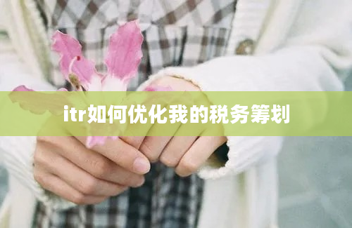 itr如何优化我的税务筹划