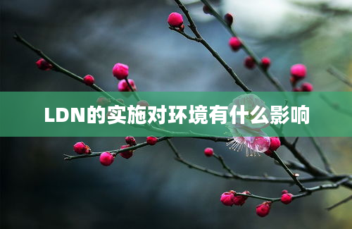 LDN的实施对环境有什么影响