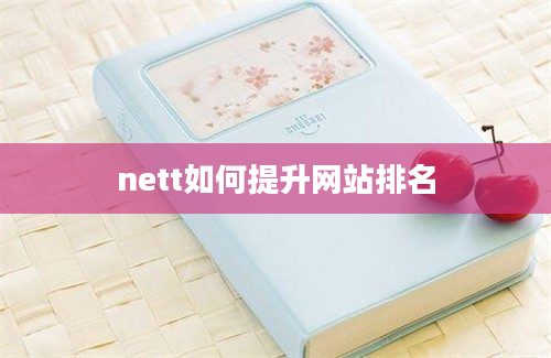 nett如何提升网站排名