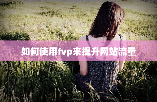 如何使用fvp来提升网站流量