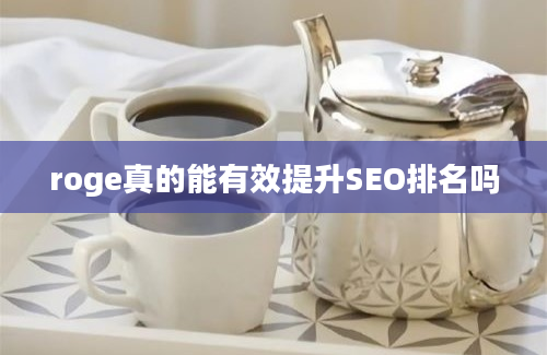 roge真的能有效提升SEO排名吗