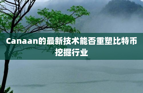 Canaan的最新技术能否重塑比特币挖掘行业