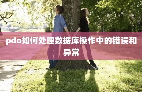 pdo如何处理数据库操作中的错误和异常